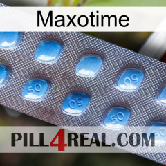 Maxotime viagra3